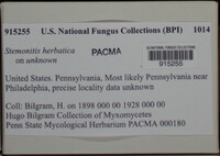 Image Associated With the Occurence